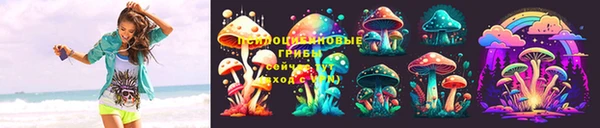 соль курить ск Верея