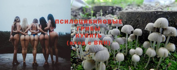 гашиш Осташков