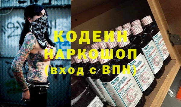крисы Верхний Тагил