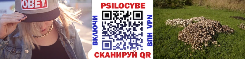 Галлюциногенные грибы мицелий  Купить где  Лысково 